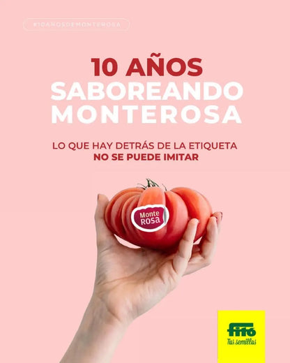 Semilas Fito’s hybrid in-house Tomato: Monterosa
