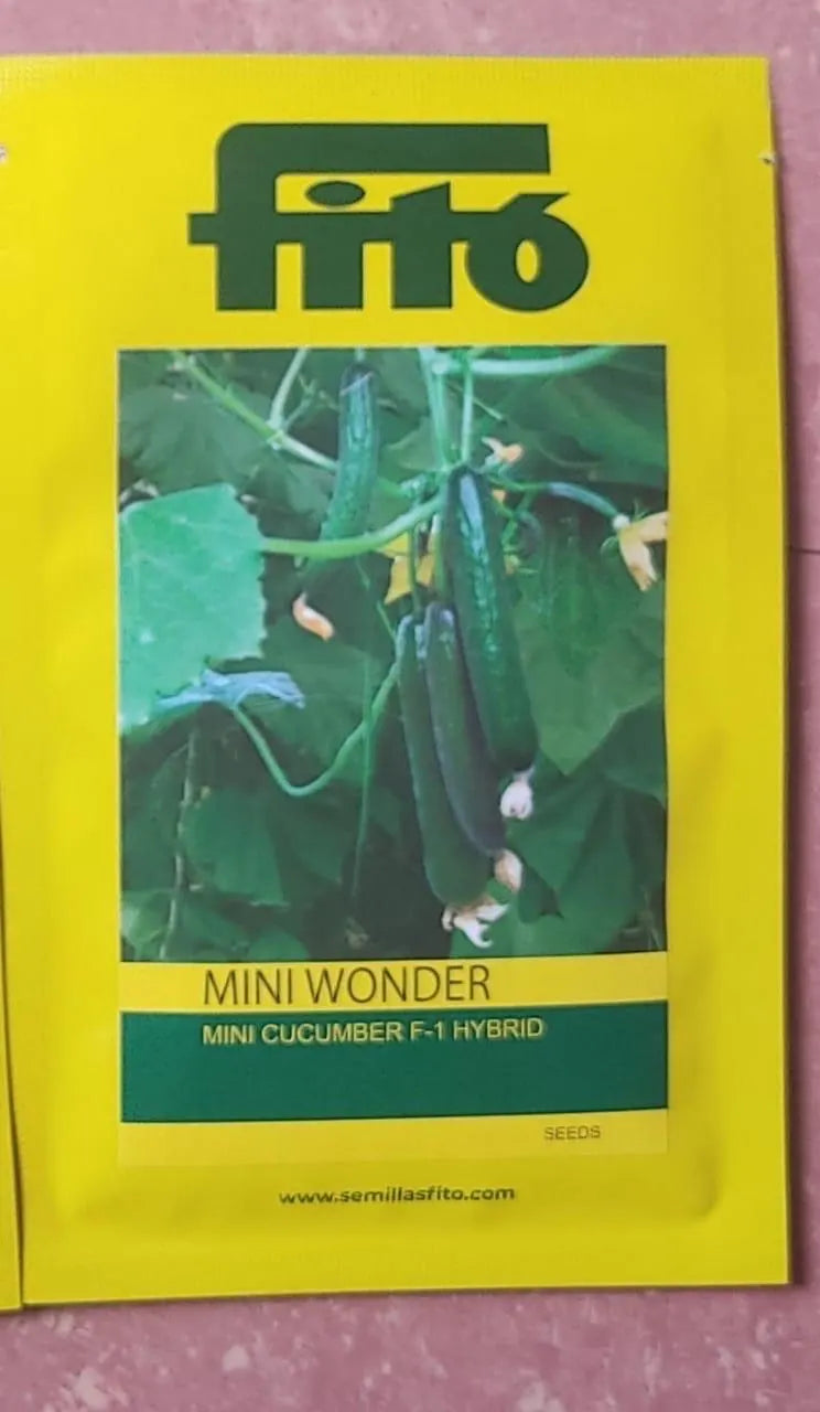 Semilas Fito’s hybrid in-house cucumber: Mini Wonder