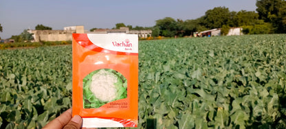 Vachan’s  Cauliflower: Vishnu