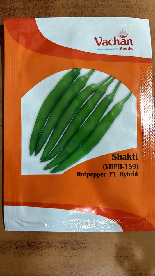 Vachan’s hybrid chilli / Hotpepper: Shakti