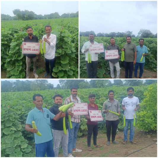 Vachan’s hybrid Bottlegourd: 1830