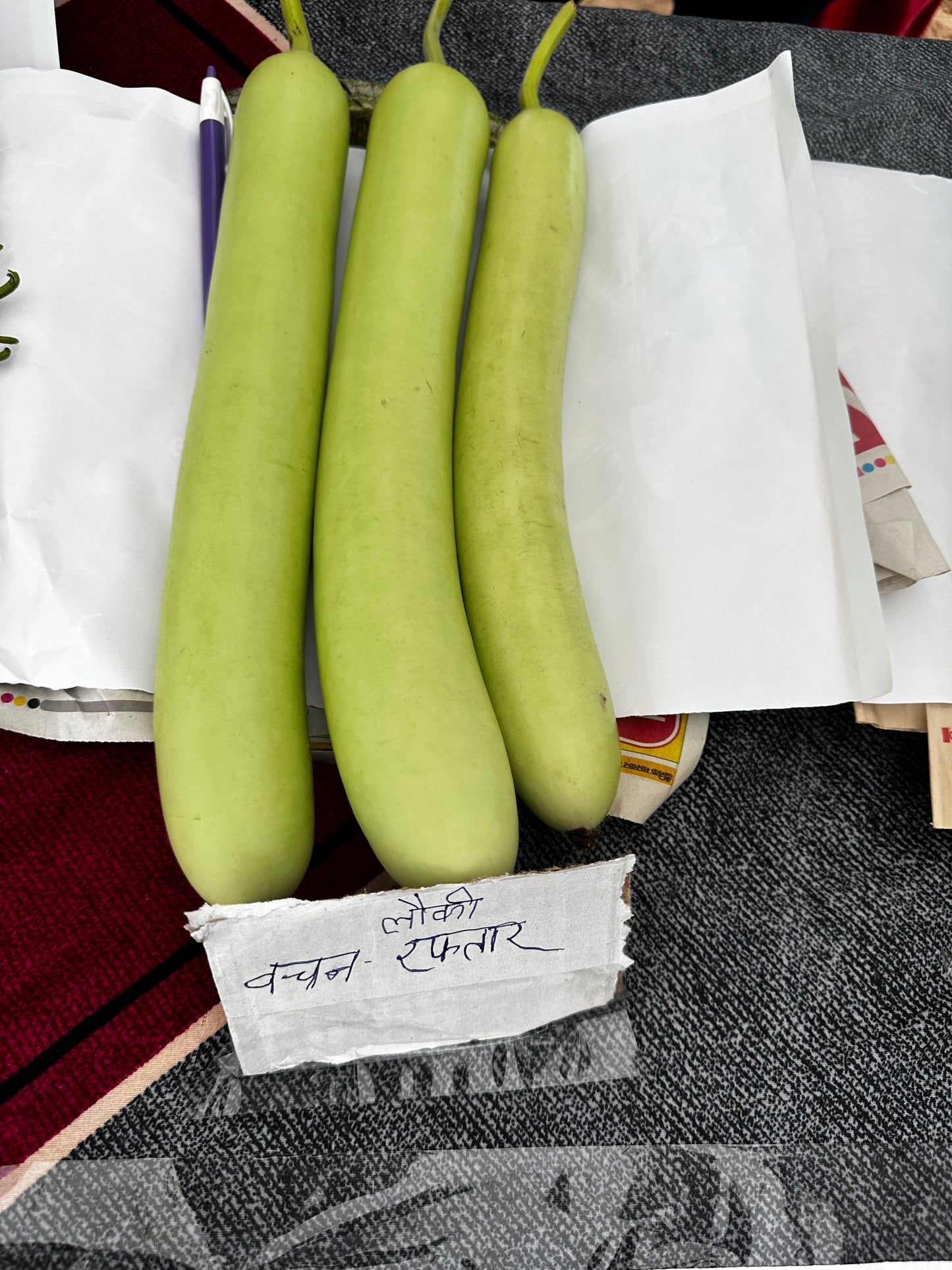 Vachan’s hybrid Bottlegourd: Raftaar(50gm)