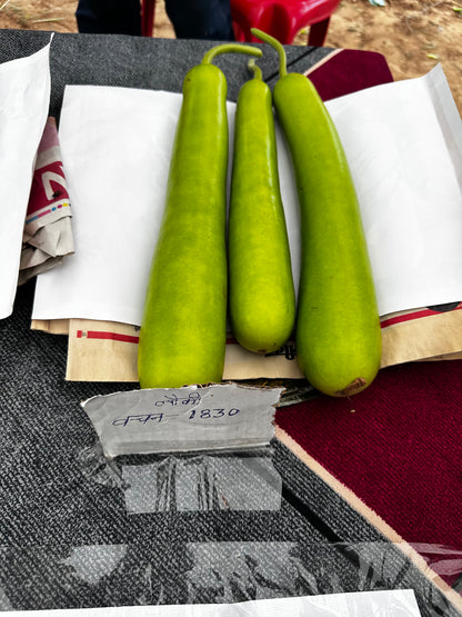 Vachan’s hybrid Bottlegourd: 1830