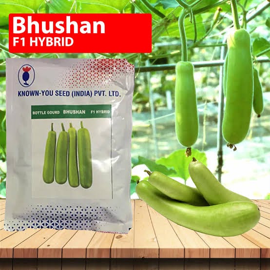 KnownYou seeds hybrid Bottlegourd: Bhushan
