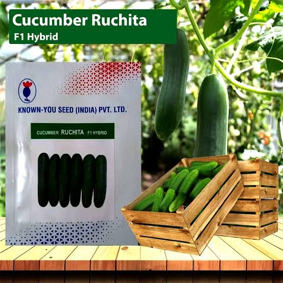 KnownYou seeds hybrid cucumber: Ruchita