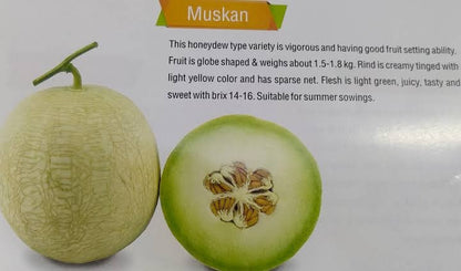 KnownYou seeds hybrid Muskmelon: Muskan