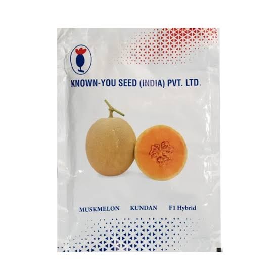 KnownYou seeds hybrid Muskmelon: Kundan