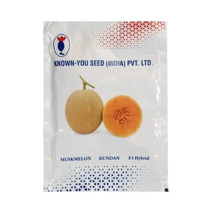 KnownYou seeds hybrid Muskmelon: Kundan