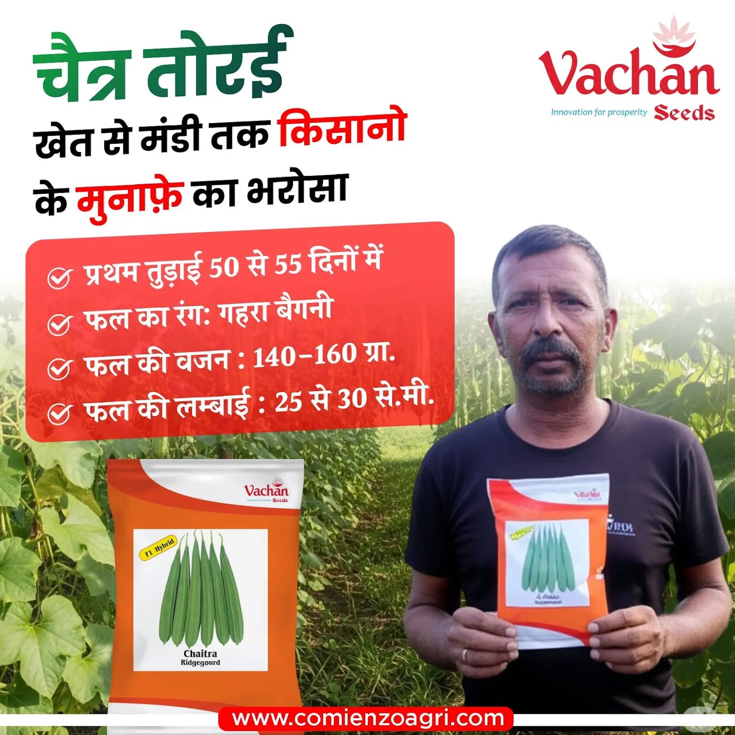 Vachan’s hybrid Ridgegourd: Chaitra