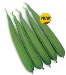 KnownYou seeds hybrid Ridgegourd: Rajat