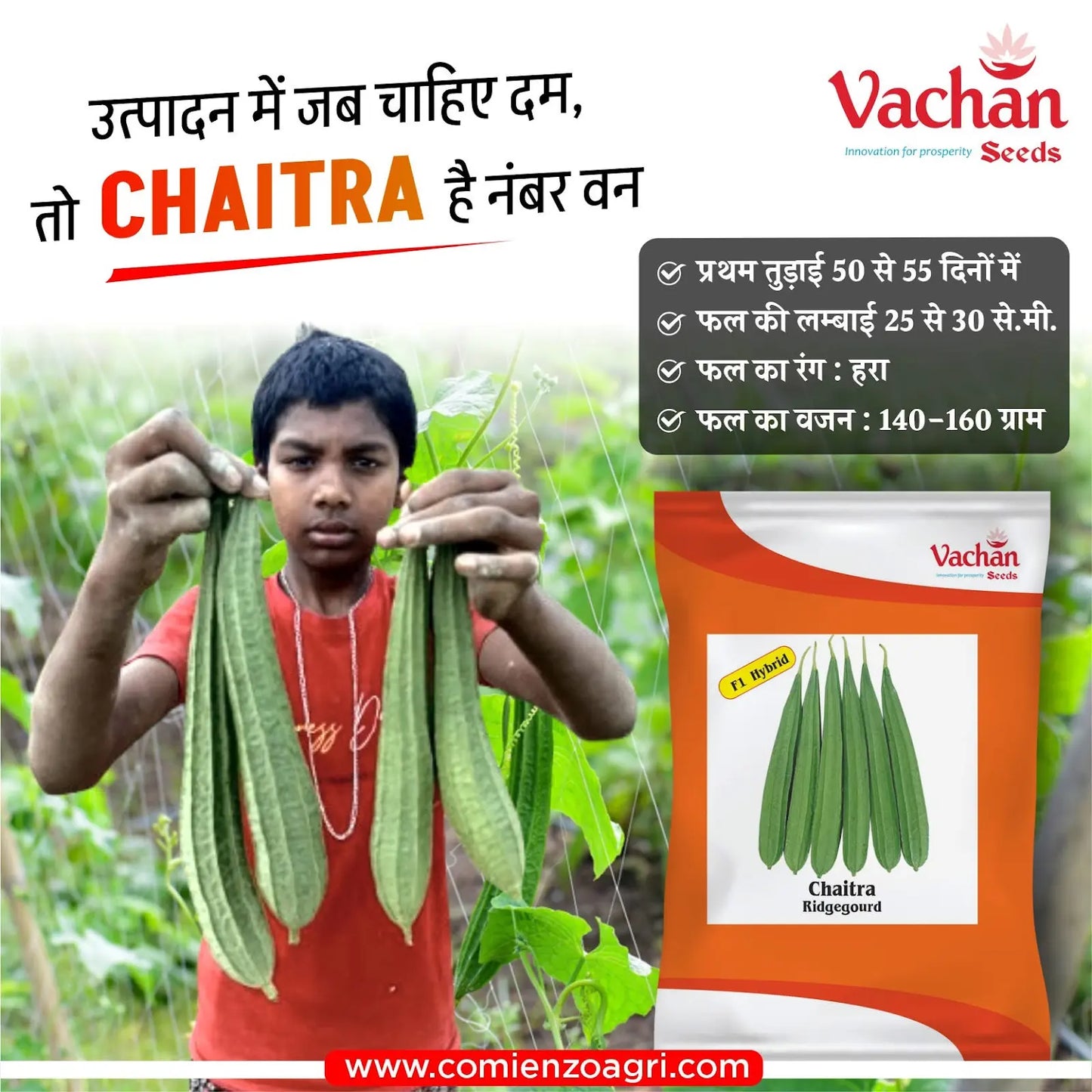 Vachan’s hybrid Ridgegourd: Chaitra
