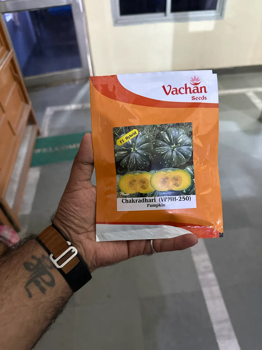 Vachan’s hybrid Pumpkin: Chakradhari