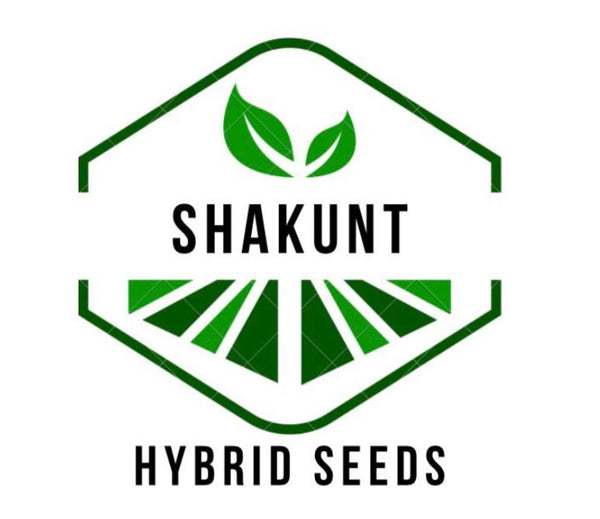 Shakunt Hybrid Store